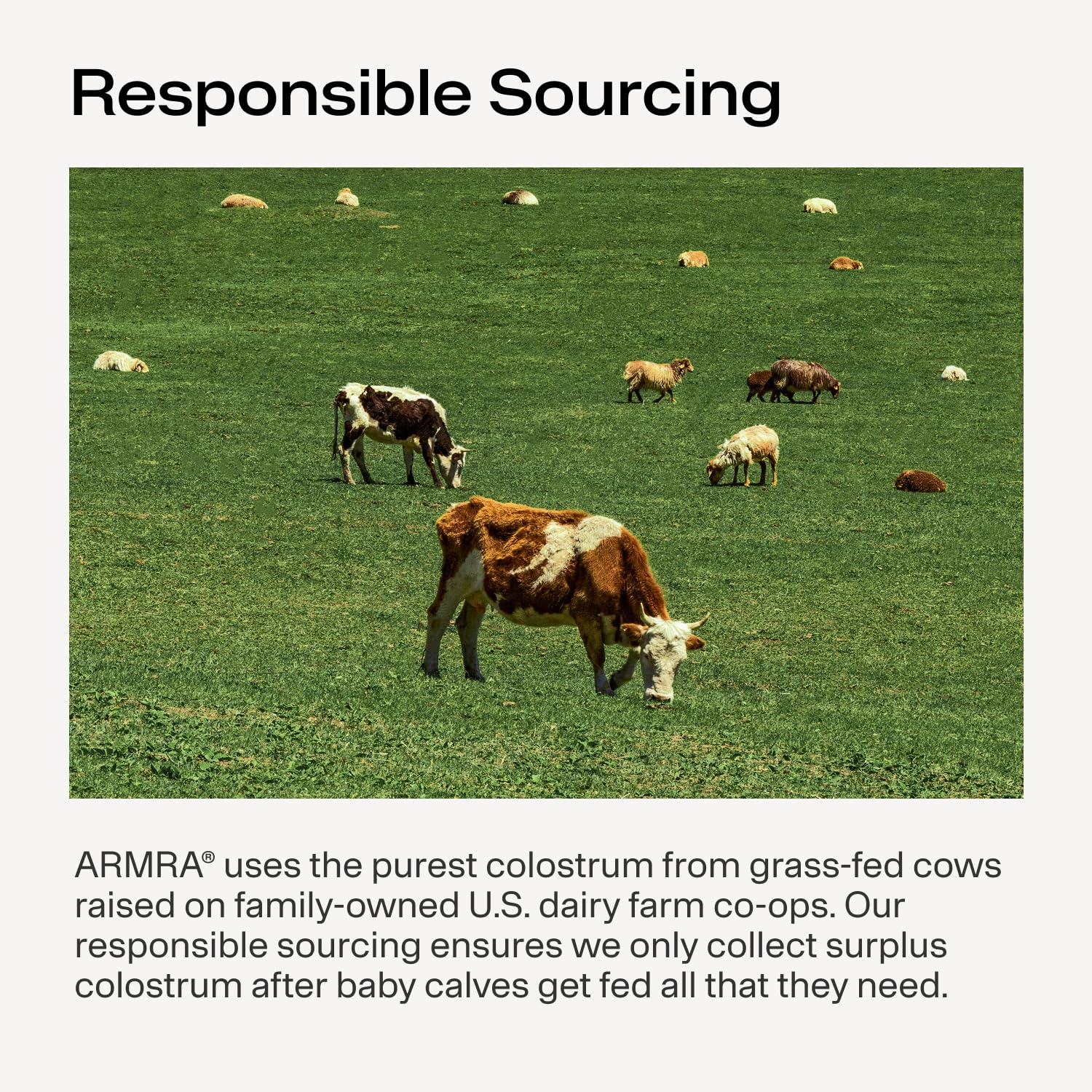 ARMRA Colostrum Powder | Unflavored | Gut Health & Bloating | Skin & Hair | Immunity | Keto, Gluten & Fat-Free | 120 Servings